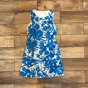 J. Crew Blue and Cream Dress 8P
